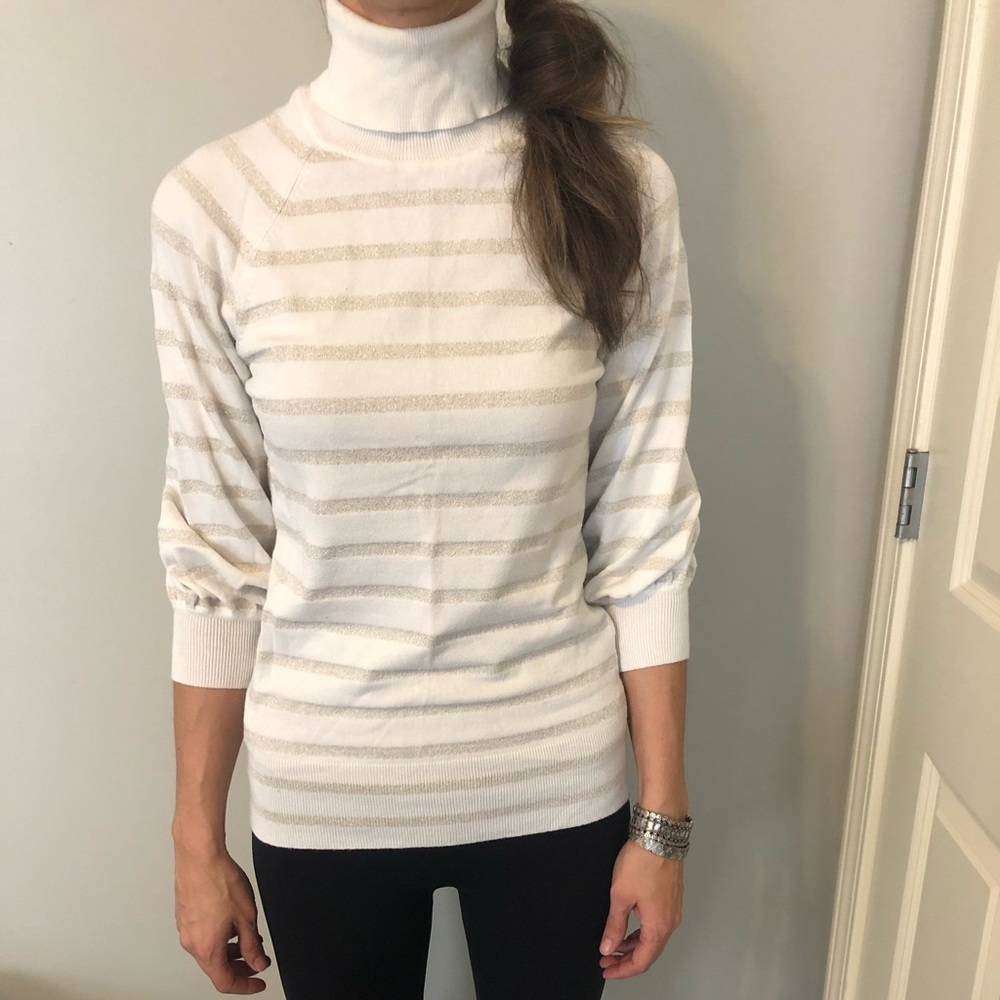 Express Turtleneck Sweater
